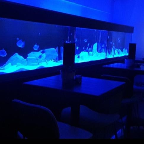 The New Blue Horse Suite At The Grumpy Schnauzer B&B Luxury Private Indoor Hot Tub Breakfast In Bed Airdrie Esterno foto