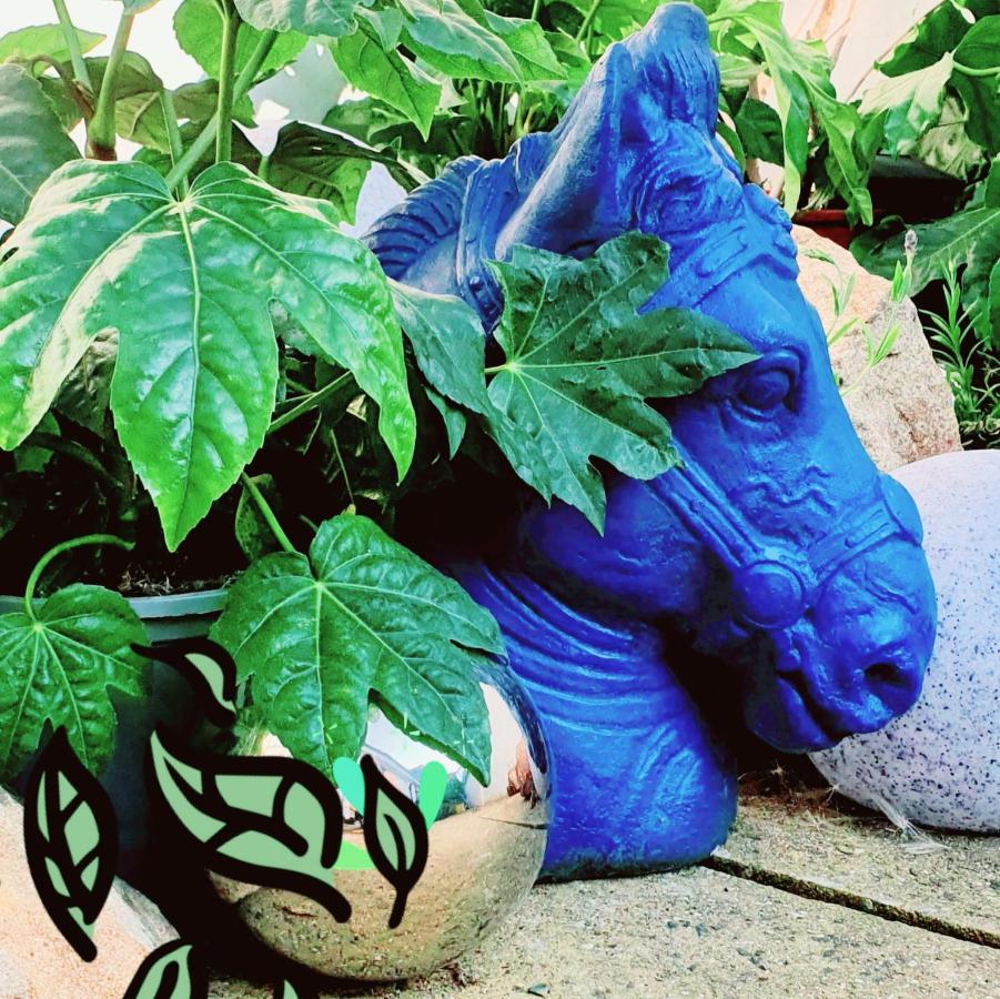 The New Blue Horse Suite At The Grumpy Schnauzer B&B Luxury Private Indoor Hot Tub Breakfast In Bed Airdrie Esterno foto